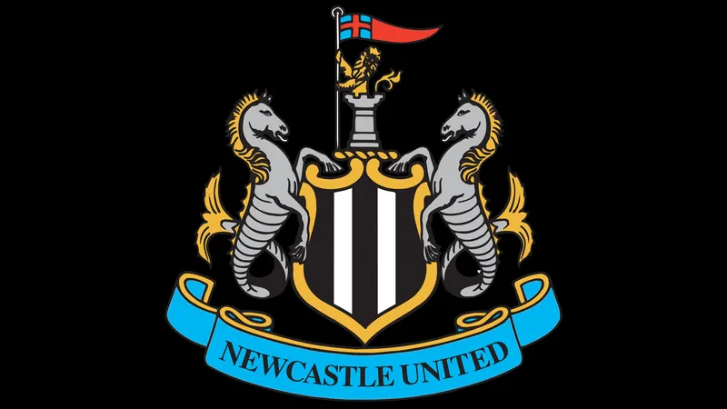 Cầu thủ Newcastle đang hỗ trợ đồng đội trong trận đấu với Sunderland